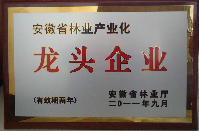 企业荣誉