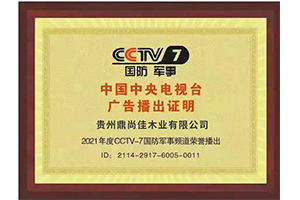 鼎尚佳木门_CCTV-7