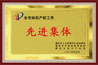 宝格润木门_（市级）市知识产权先进集体