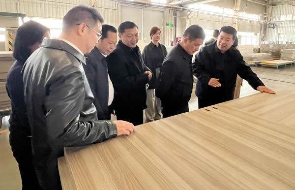 霍尔茨