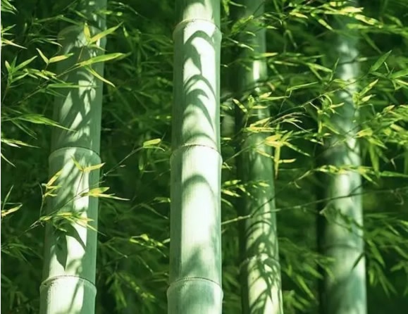 盈康世家