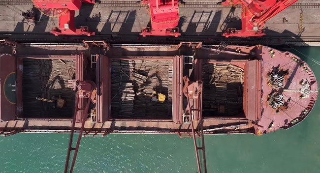 一周观察