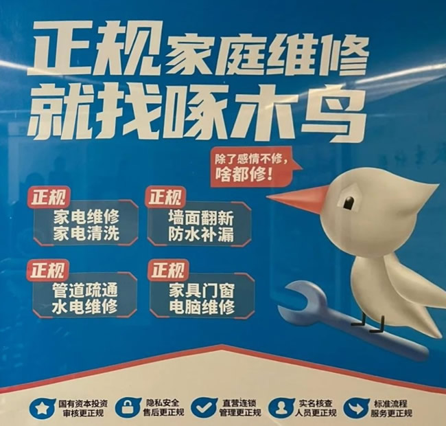 对比啄木鸟社区直营店和社区局改加盟店