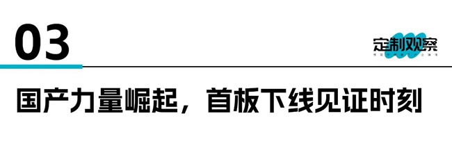 天山冰苇