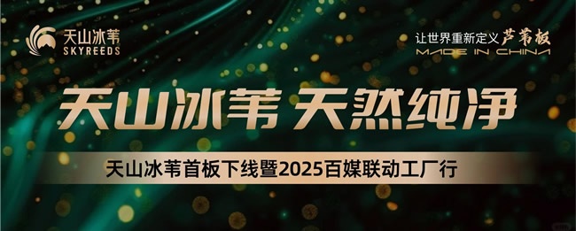 天山冰苇