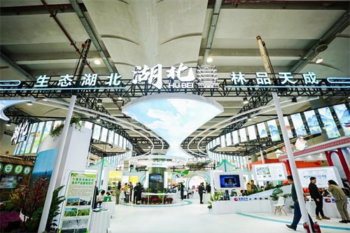 林木业大会