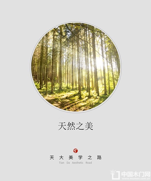 天大木门美学之路