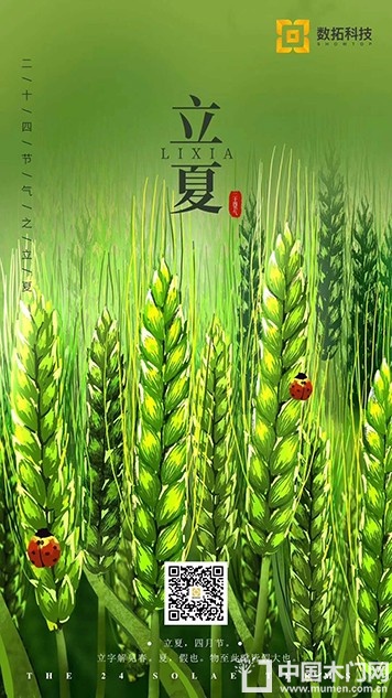 数拓科技立夏节气图